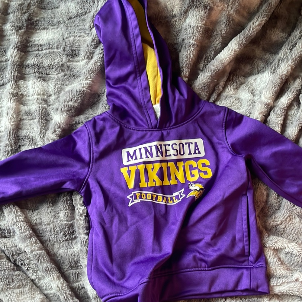 3T Vikings Hoodie
